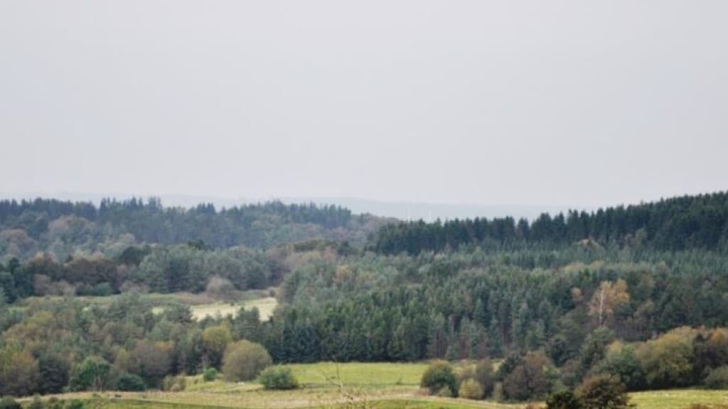 Gærum Plantage & Katsig Mose