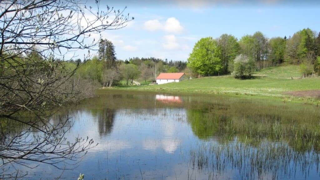 Gærum Plantage & Katsig Mose